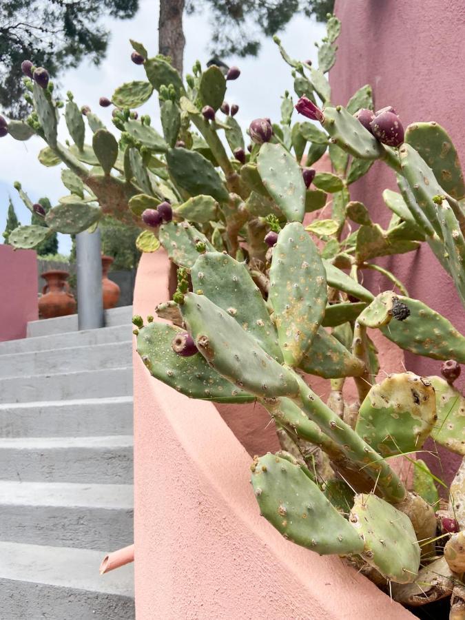 קפיטנה Villa San Lorenzo מראה חיצוני תמונה